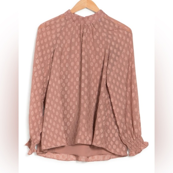 Daniel Rainn Tops - DANIEL RAINN BLush Pink Long Sleeve Swiss Dot Blouse with long puff sleeves